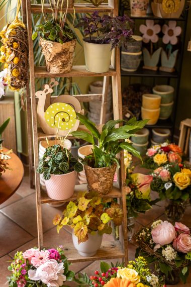 Muttertag 2023 - Natur Pur Blumenladen Erfurt Niedernissa Muttertag 2023 - Natur Pur Blumenladen Erfurt Niedernissa