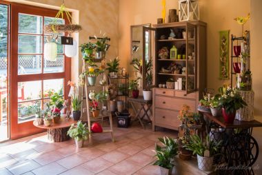 Einblicke - Natur Pur Blumenladen Erfurt Niedernissa Einblicke - Natur Pur Blumenladen Erfurt Niedernissa