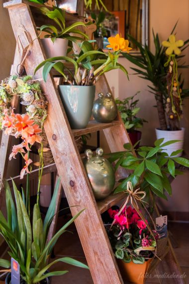 Einblicke - Natur Pur Blumenladen Erfurt Niedernissa Einblicke - Natur Pur Blumenladen Erfurt Niedernissa