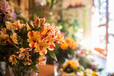 Einblicke - Natur Pur Blumenladen Erfurt Niedernissa Einblicke - Natur Pur Blumenladen Erfurt Niedernissa